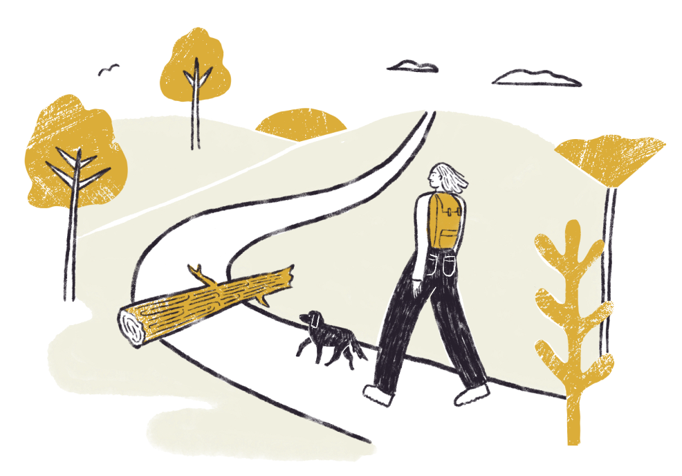 Illustration